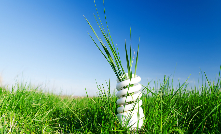 Energy-efficient spiral bulb in green grass
